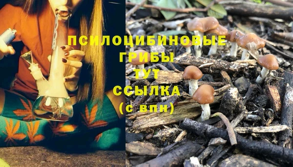 бошки Магадан